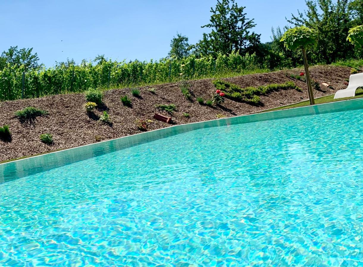 Weinberg Chalets Eisenberg an der Pinka エクステリア 写真